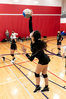 Volleyball