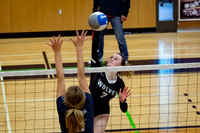 Volleyball