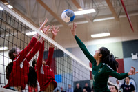 Volleyball