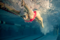 Aquatics
