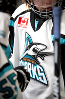 Sharks