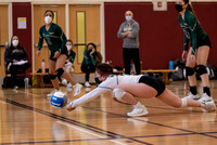 U16 D1